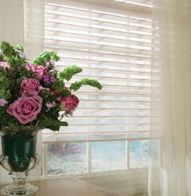 SHADES  -  FREE Estimates & FREE In-Home Consulation - Blinds, Shutters, Window Blinds, Plantation Shutters, Vertical Blinds, Mini Blinds, Wood Shutters, Venetian Blinds, Shades, Vinyl Blinds, Plantation Shutters, Window Shutters, Faux wood Blinds, Vertical Blinds, Wood Blinds, Roman Shades, Drapery, Draperies